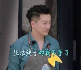 苏有朋秦峰爆料了吗视频,揭秘娱乐圈不为人知的一面 第1张 苏有朋秦峰爆料了吗视频,揭秘娱乐圈不为人知的一面 第1张