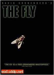 变蝇人在线观看,穿越时空的惊悚之旅 第2张 变蝇人在线观看,穿越时空的惊悚之旅 第2张